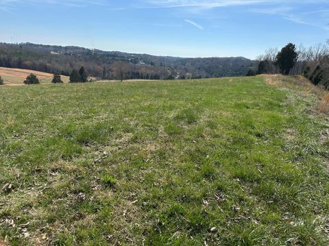 90+/-Acres Old Rhea Spring Road Spring City TN 37381