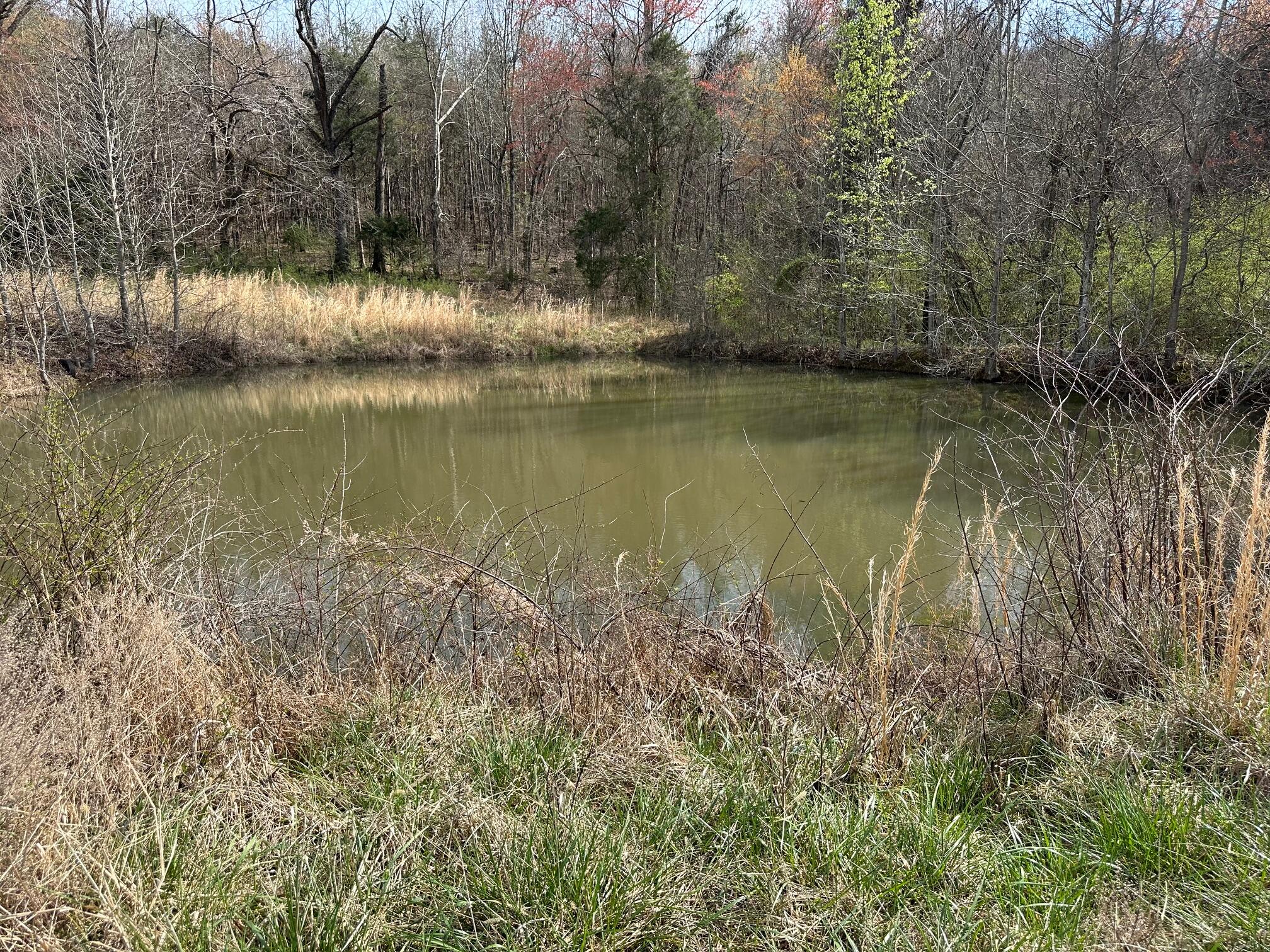 90+/-Acres Old Rhea Spring Road