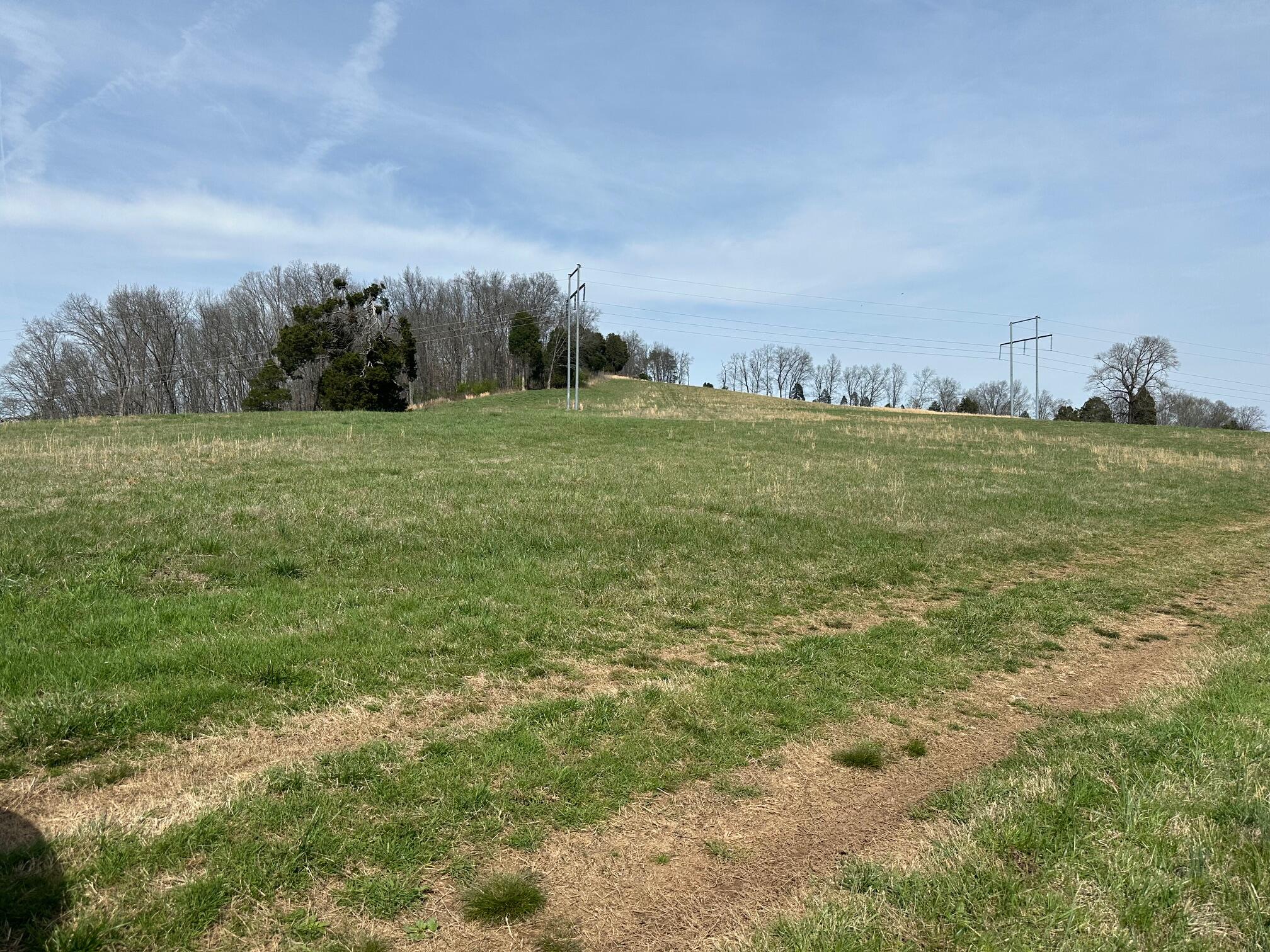 90+/-Acres Old Rhea Spring Road