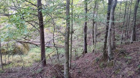 Photo of 0 Summertown (8.56 Acres) Road, Jasper, TN 37347 (MLS # 1525431)