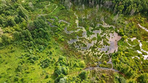 Tiny photo for 329 Flower Garden Road, Grandview, TN 37337 (MLS # 1526984)