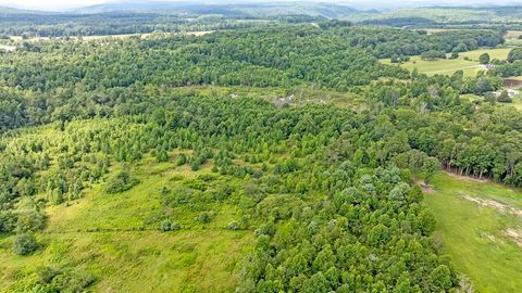 Tiny photo for 329 Flower Garden Road, Grandview, TN 37337 (MLS # 1526984)