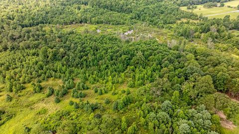 Tiny photo for 329 Flower Garden Road, Grandview, TN 37337 (MLS # 1526984)