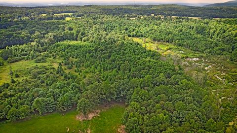 Photo of 329 Flower Garden Road, Grandview, TN 37337 (MLS # 1526984)