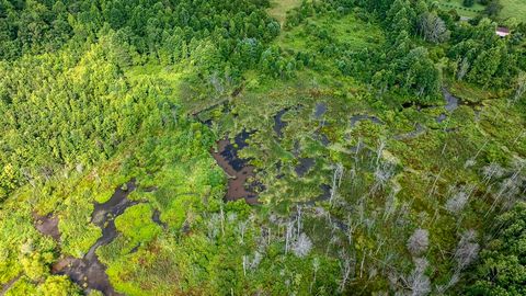 Tiny photo for 329 Flower Garden Road, Grandview, TN 37337 (MLS # 1526984)