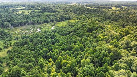 Tiny photo for 329 Flower Garden Road, Grandview, TN 37337 (MLS # 1526984)