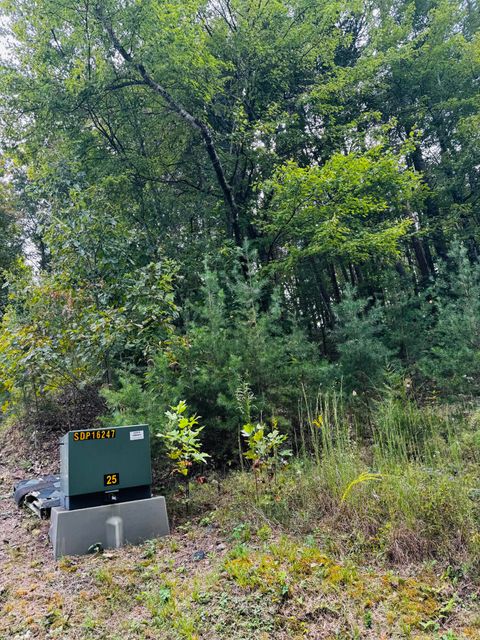 Tiny photo for 800 Lee Pike, Soddy Daisy, TN 37379 (MLS # 1521777)