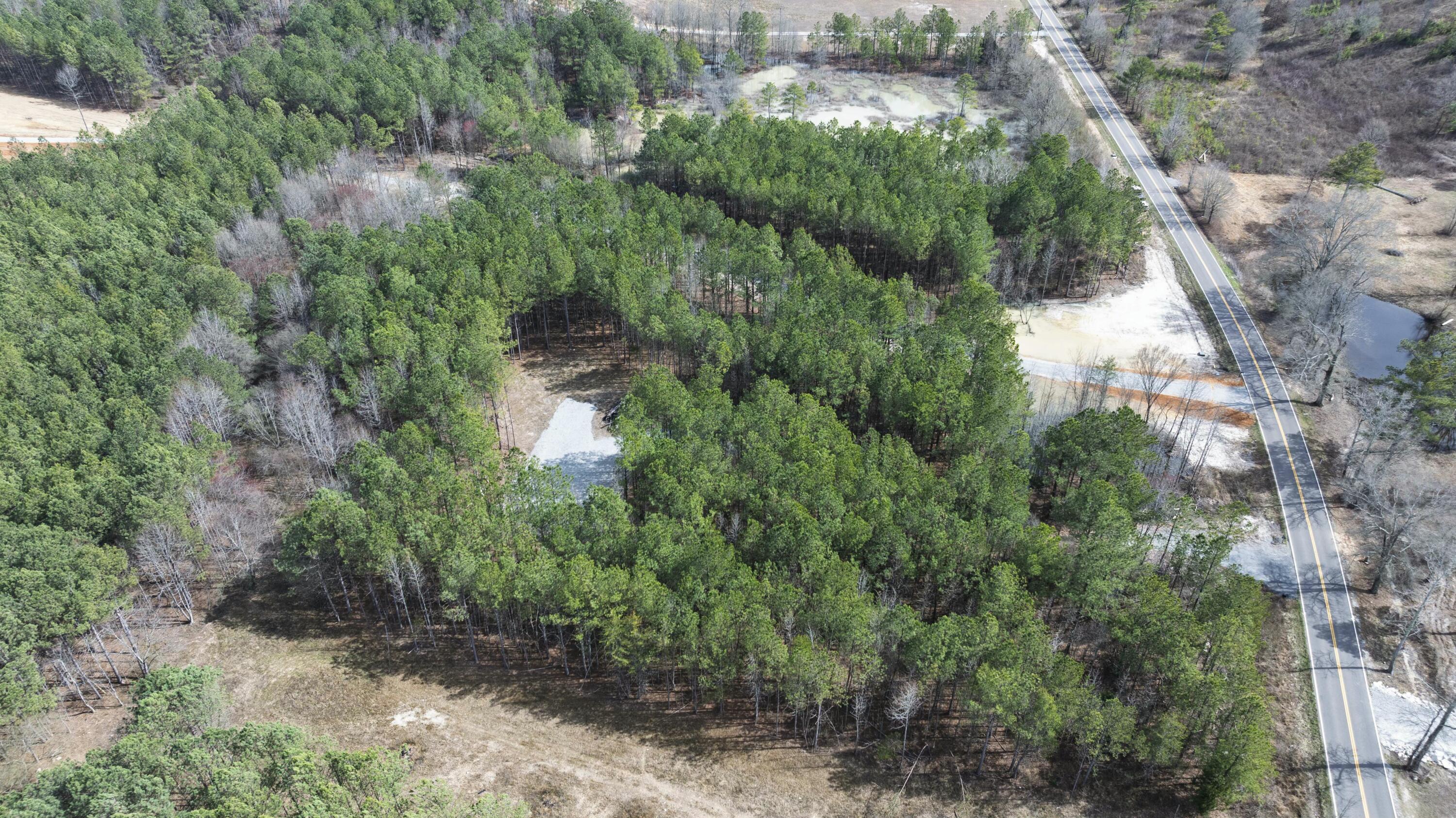 1045 White Flats Road, Evensville, Tennessee image 12