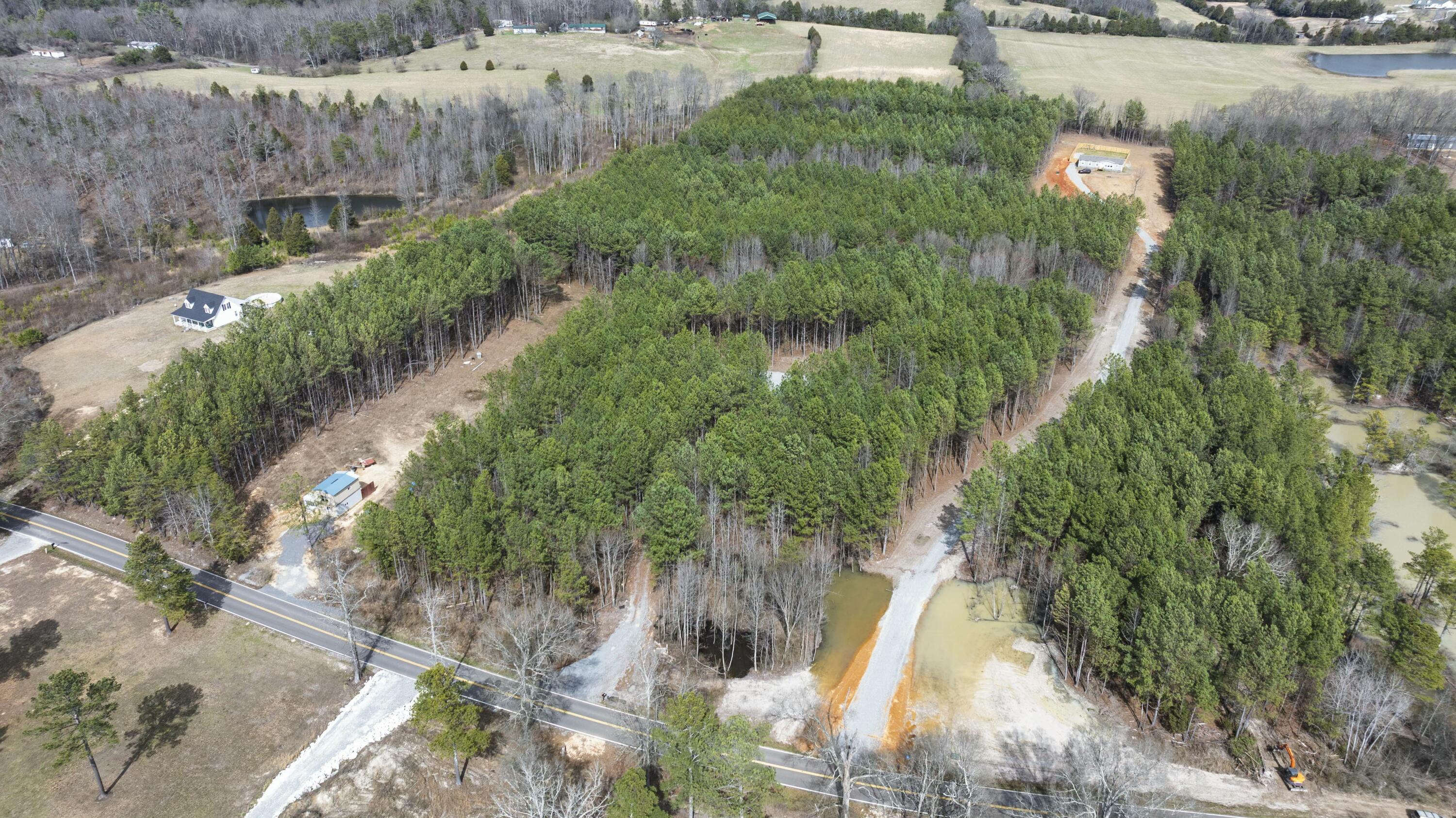 1045 White Flats Road, Evensville, Tennessee image 10