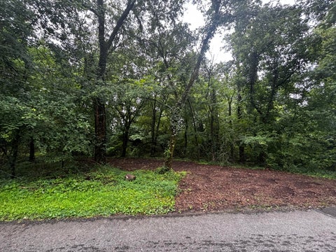 Photo of 835 Irondale Road, South Pittsburg, TN 37380 (MLS # 1540019)