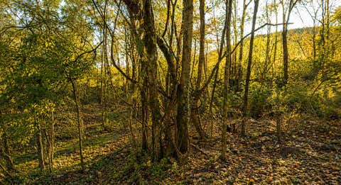 Vacant Land For Sale - Irondale Road<br/> Marion County, South Pittsburg, TN 37380