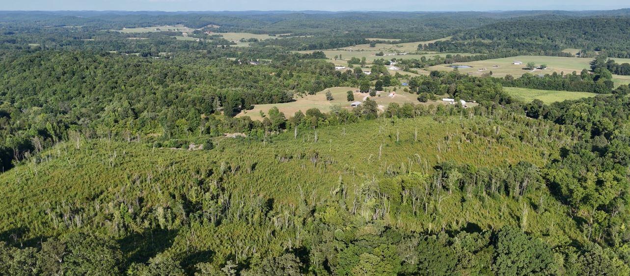 Big Sewee Lot 5 Road, Decatur, Tennessee image 12