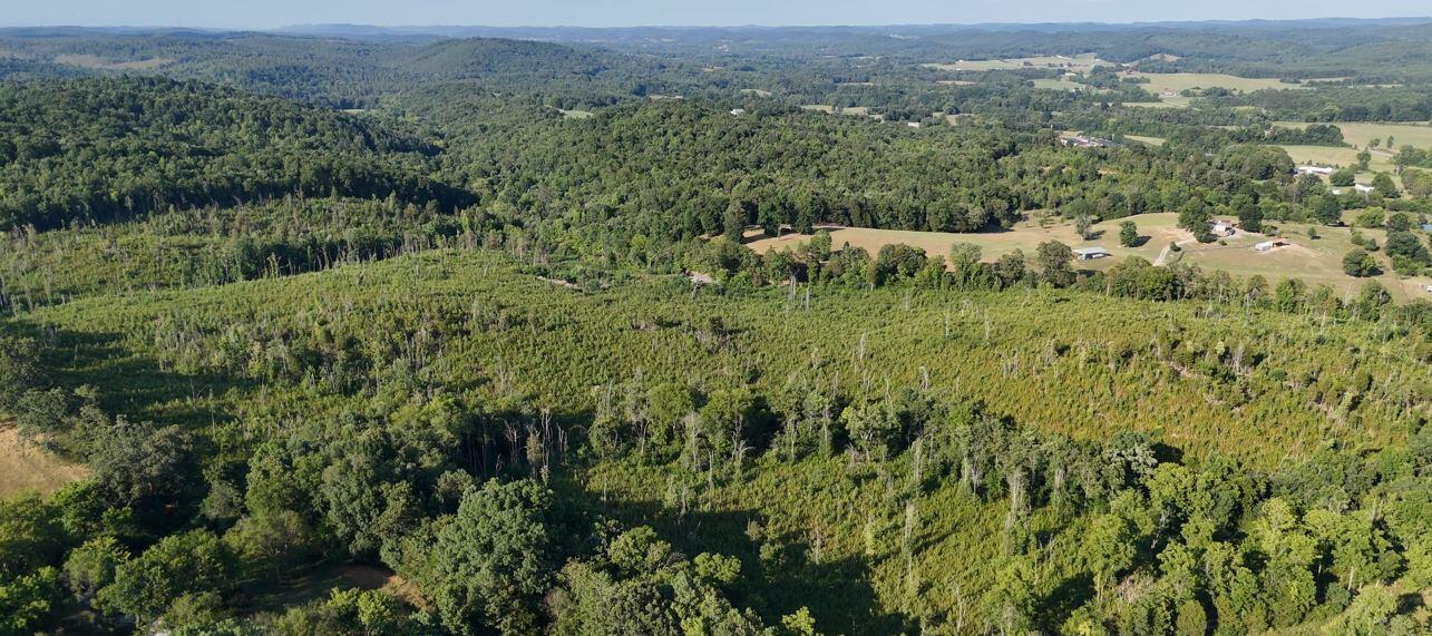 Big Sewee Lot 5 Road, Decatur, Tennessee image 13