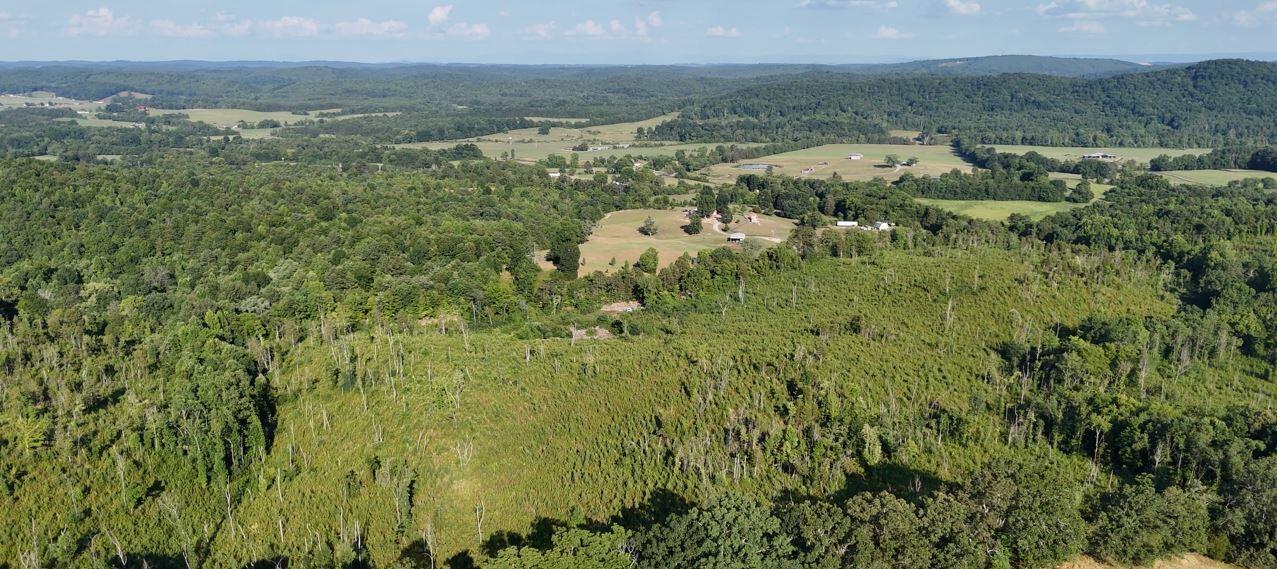 Big Sewee Lot 5 Road, Decatur, Tennessee image 11