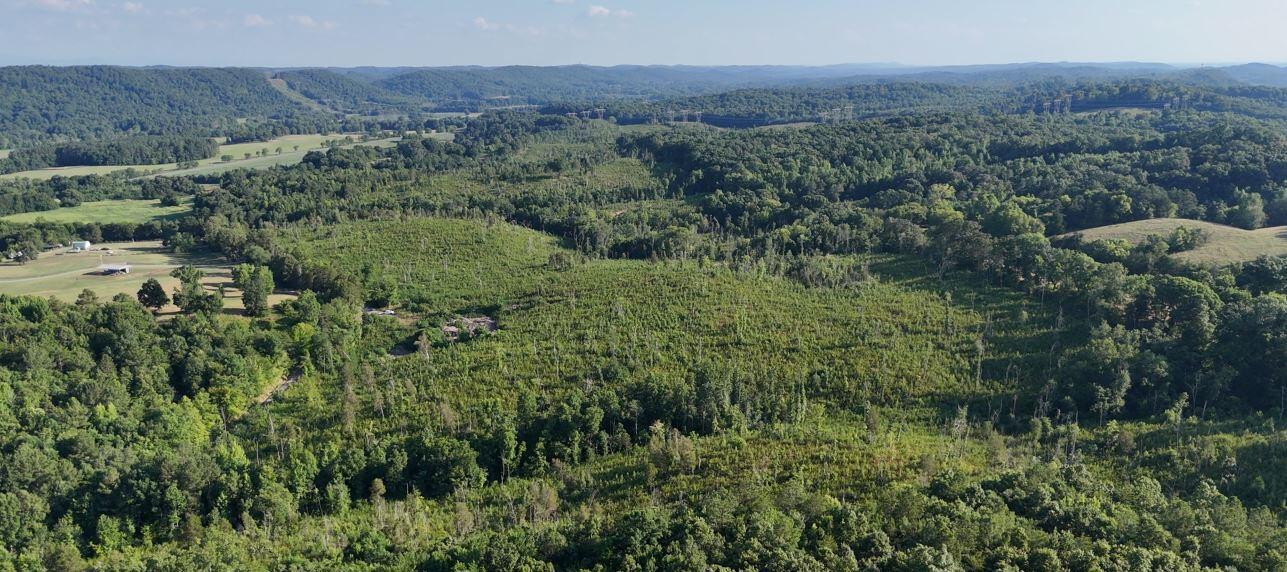 Big Sewee Lot 5 Road, Decatur, Tennessee image 7