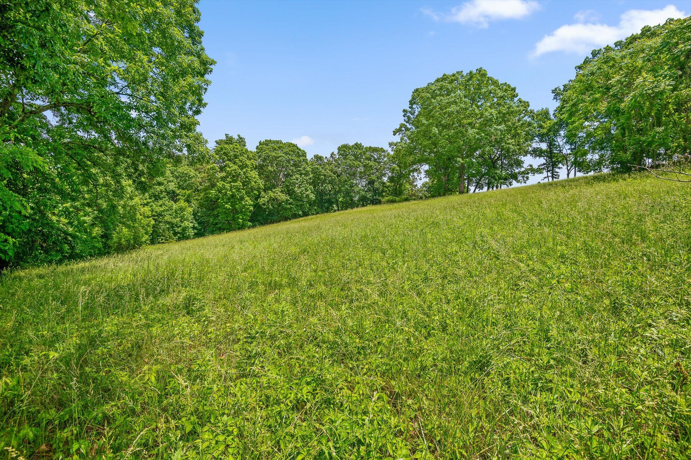 908 Earl Broady Road #LOT 1, Evensville, Tennessee image 24