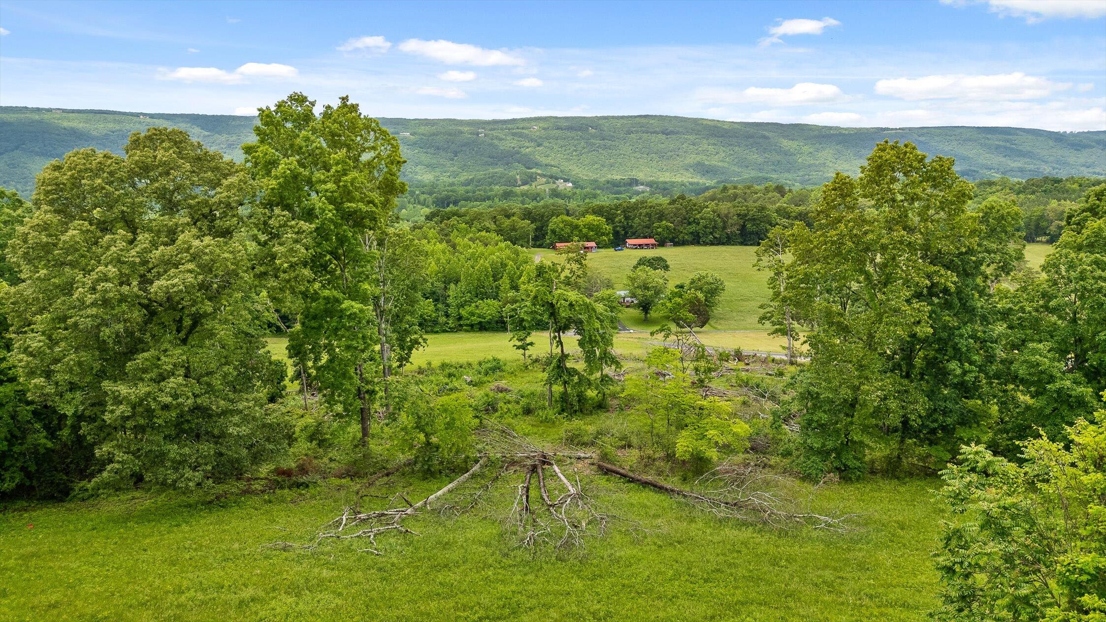 908 Earl Broady Road #LOT 1, Evensville, Tennessee image 13
