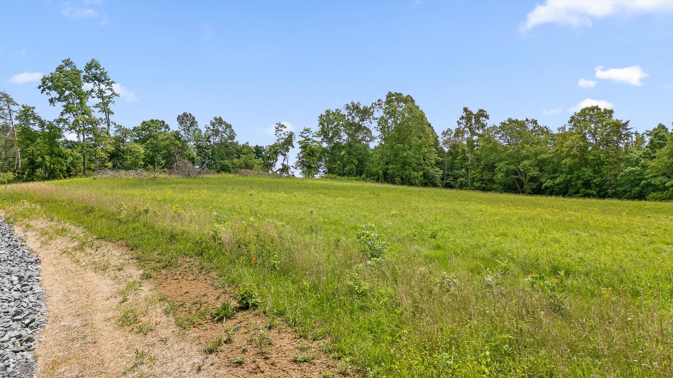908 Earl Broady Road #LOT 1, Evensville, Tennessee image 29