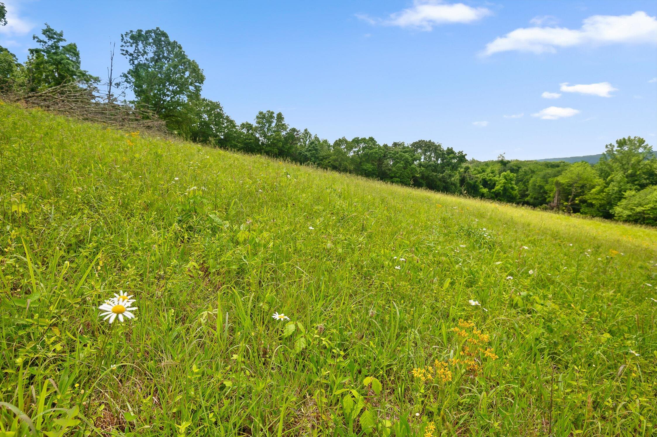 908 Earl Broady Road #LOT 1, Evensville, Tennessee image 28