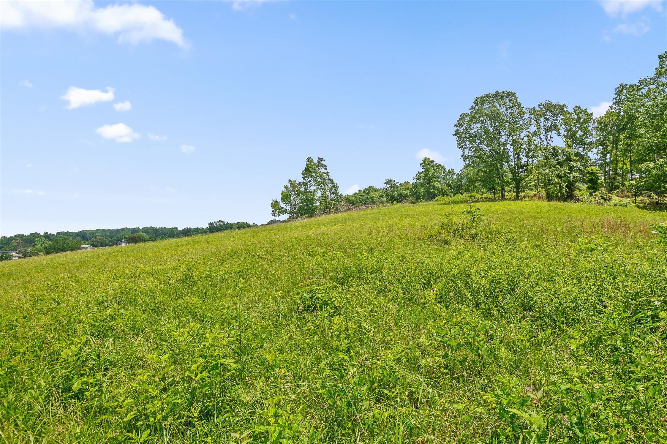 908 Earl Broady Road #LOT 1, Evensville, Tennessee image 19
