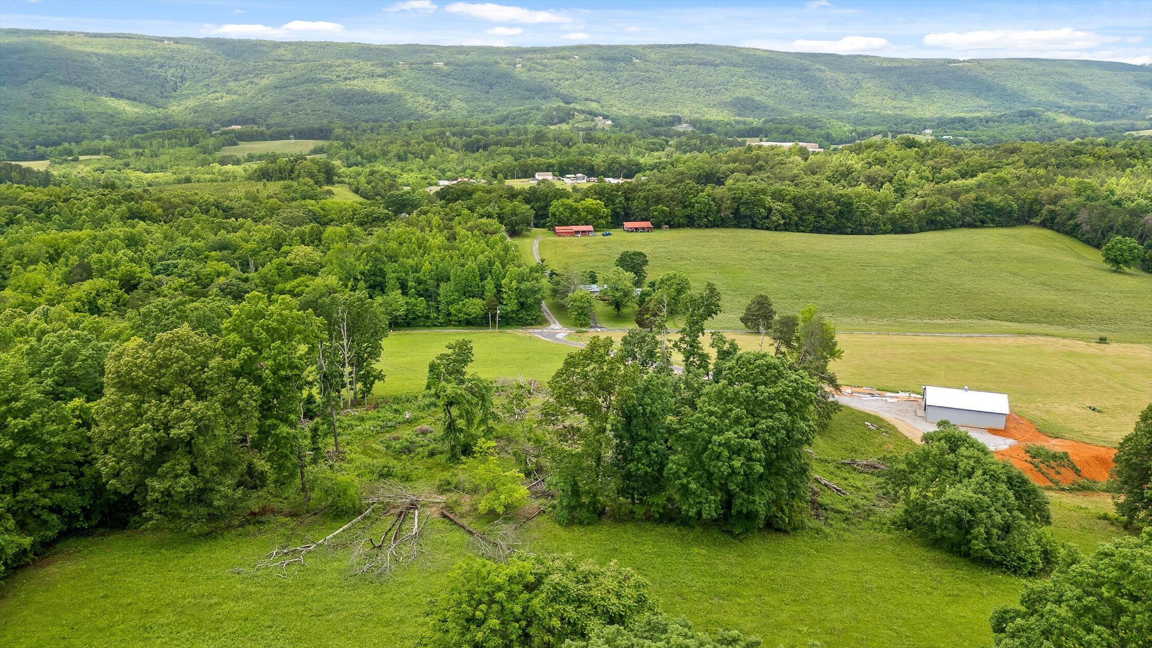 908 Earl Broady Road #LOT 1, Evensville, Tennessee image 12