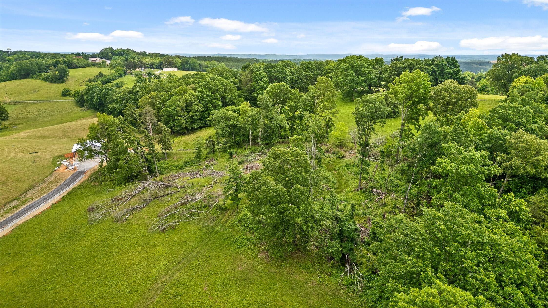 908 Earl Broady Road #LOT 1, Evensville, Tennessee image 11