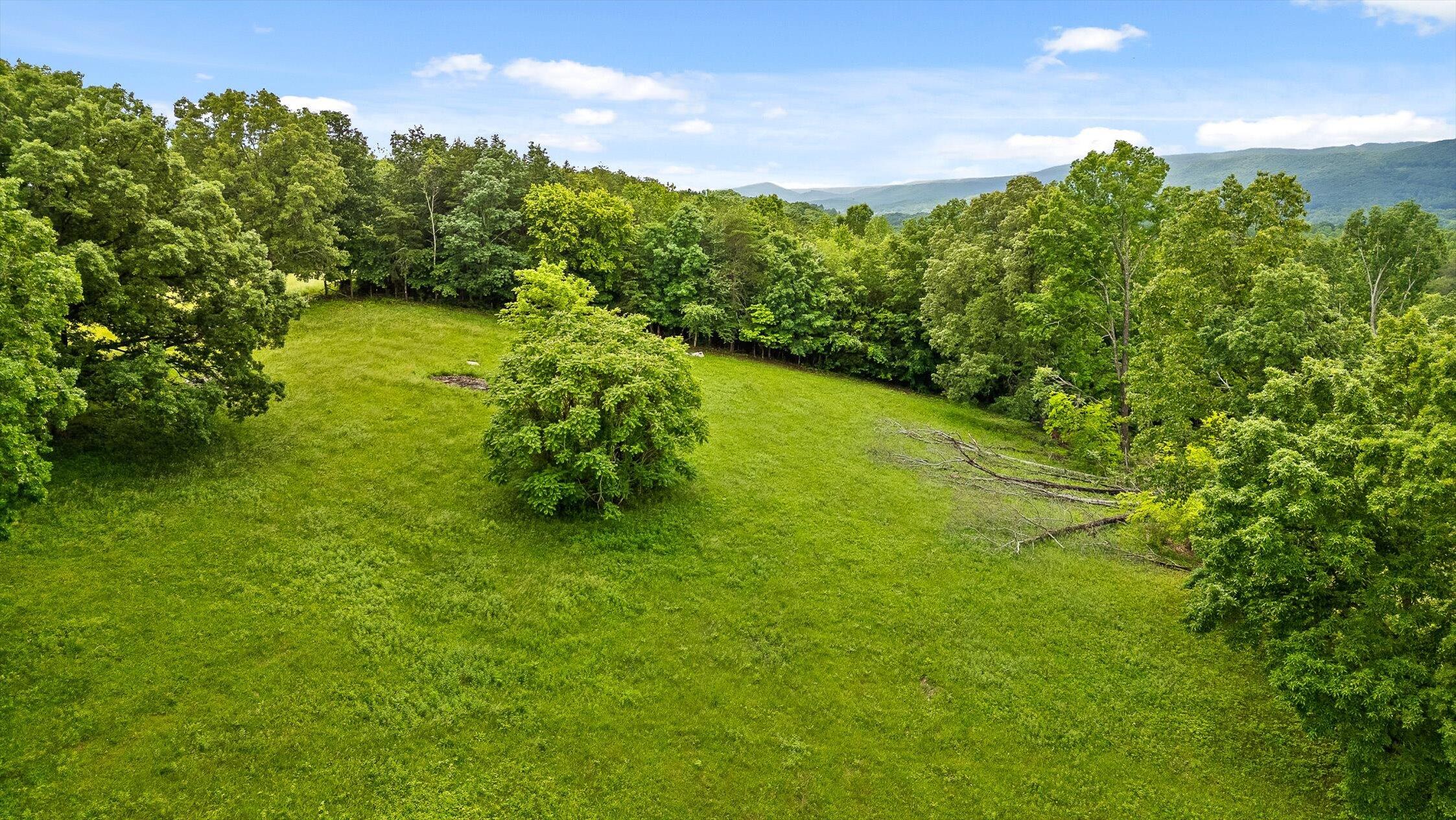 908 Earl Broady Road #LOT 1, Evensville, Tennessee image 14