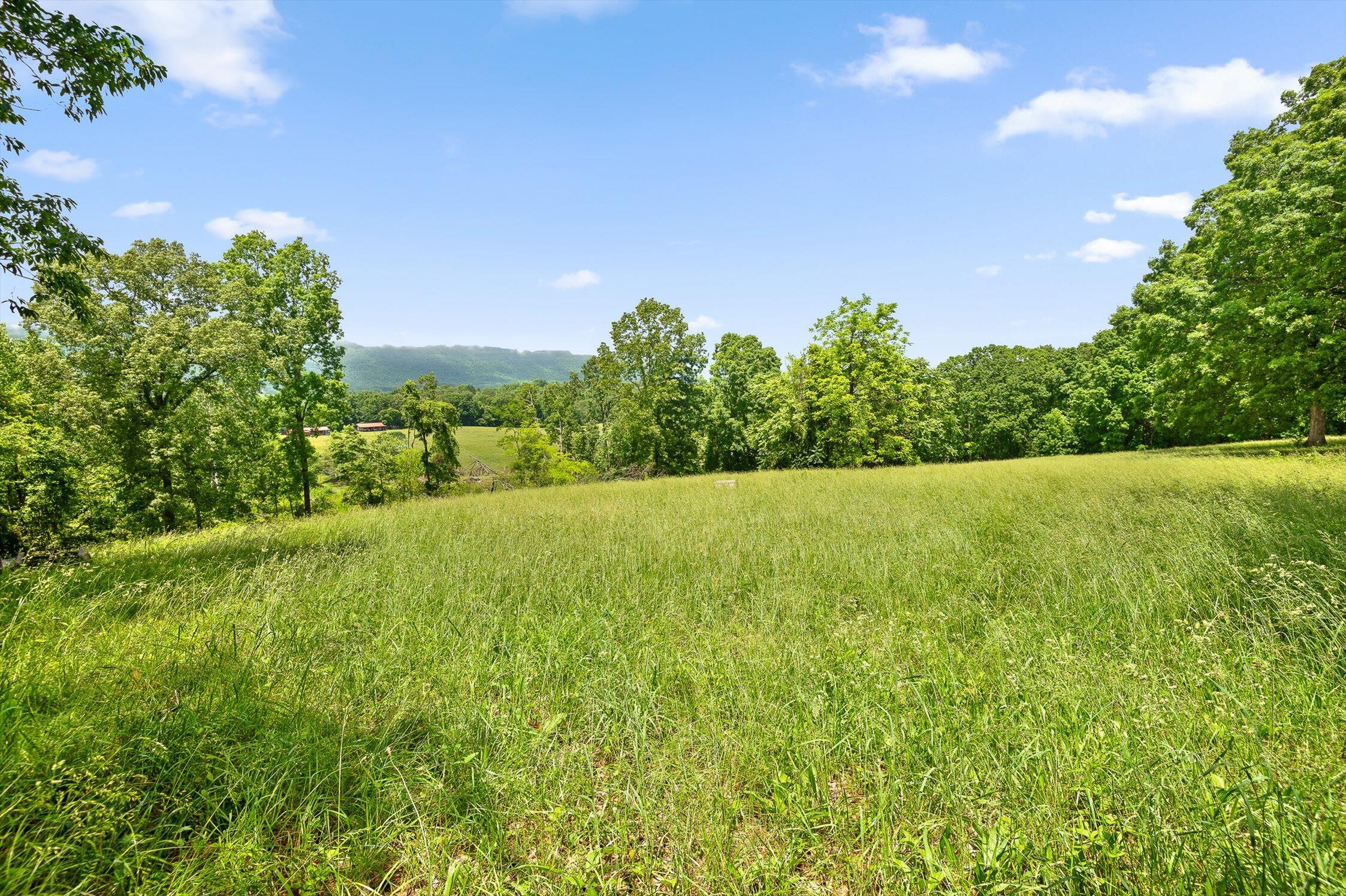 908 Earl Broady Road #LOT 1, Evensville, Tennessee image 26