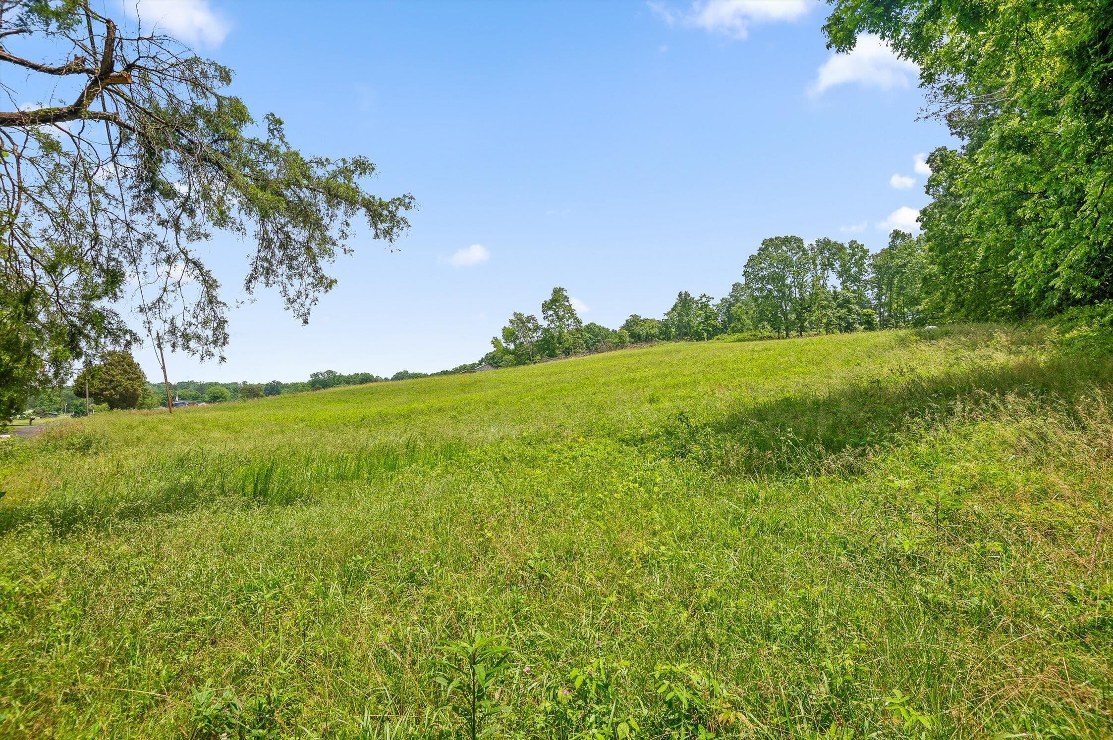 908 Earl Broady Road #LOT 1, Evensville, Tennessee image 18