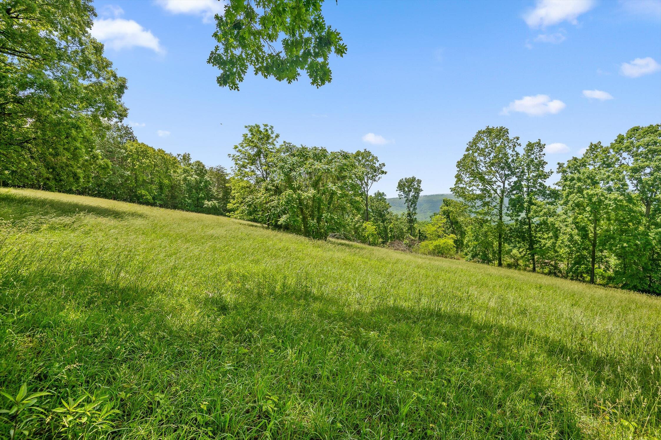 908 Earl Broady Road #LOT 1, Evensville, Tennessee image 25