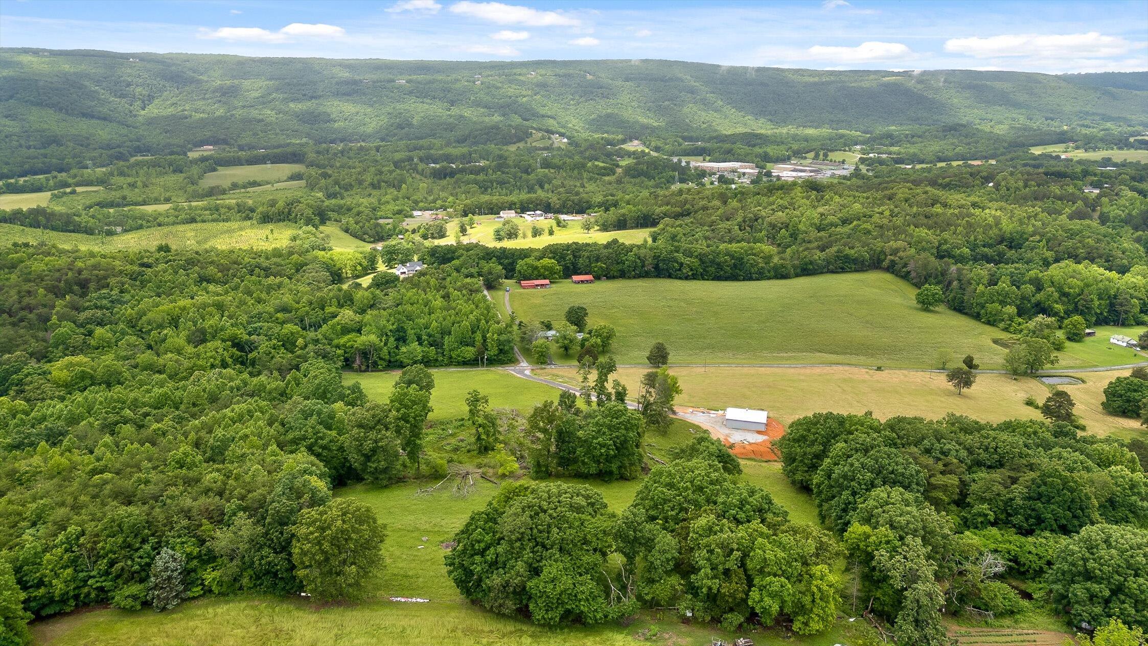 908 Earl Broady Road #LOT 1, Evensville, Tennessee image 6