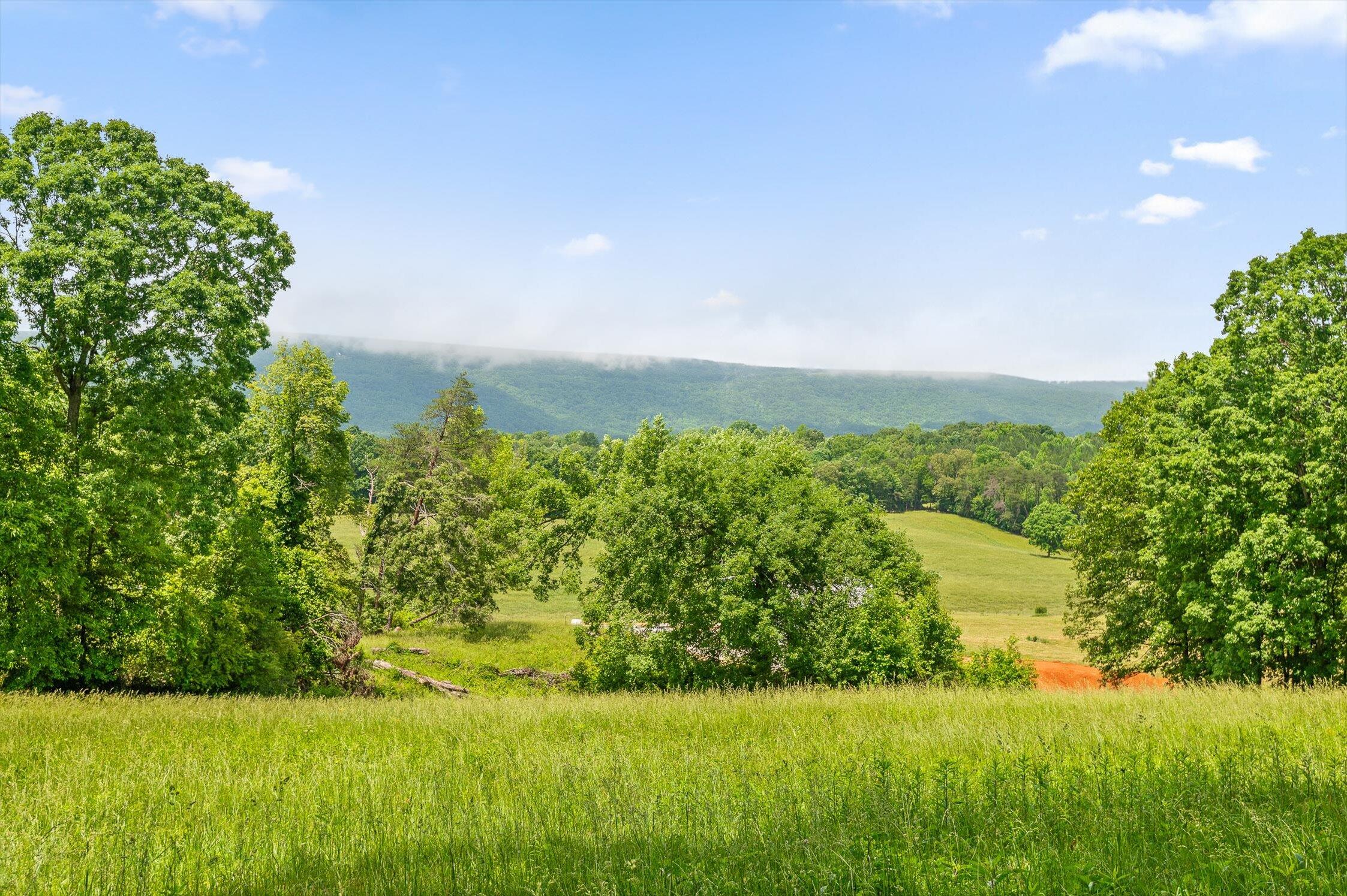 908 Earl Broady Road #LOT 1, Evensville, Tennessee image 4