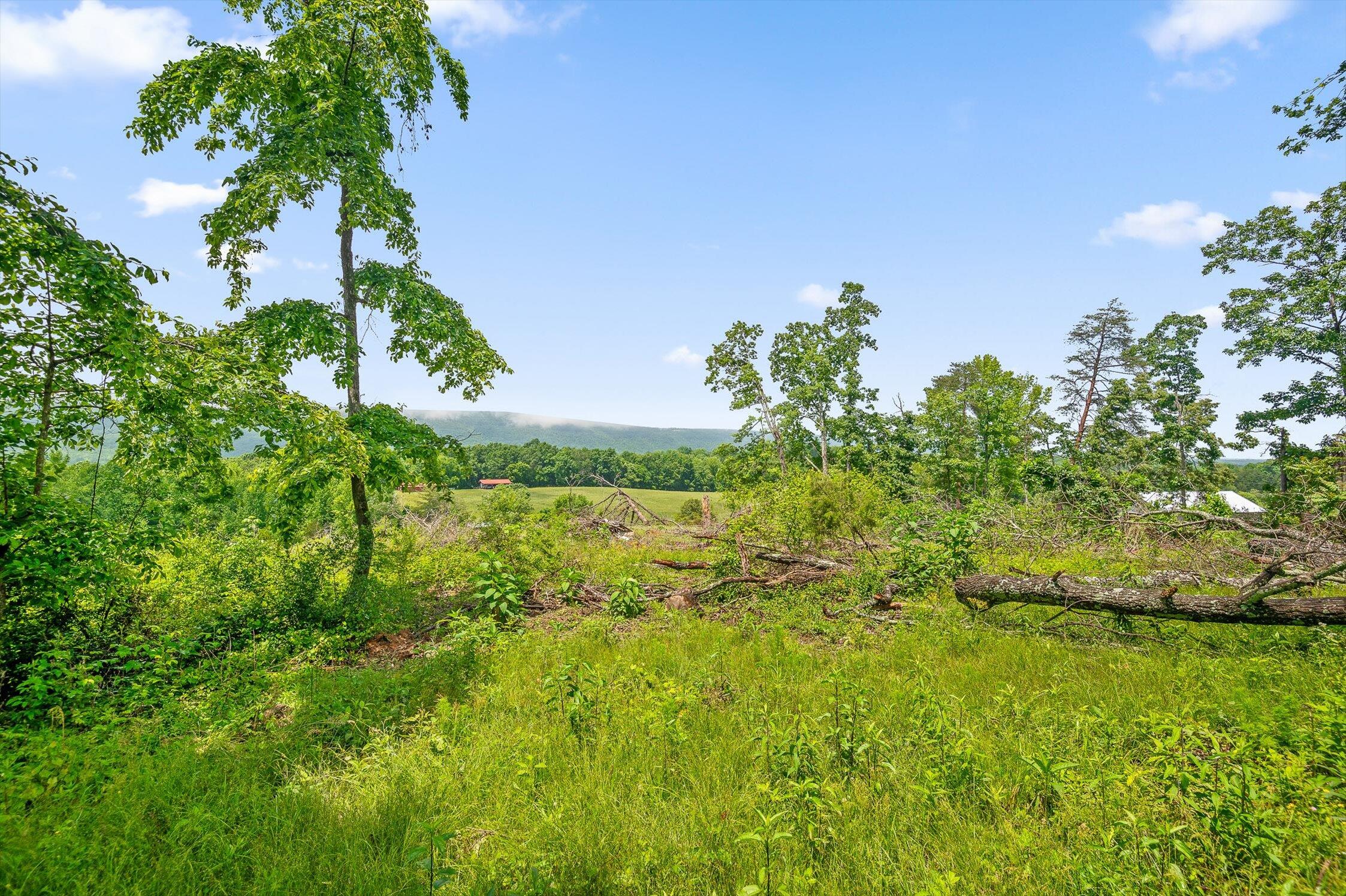 908 Earl Broady Road #LOT 1, Evensville, Tennessee image 23