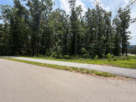Photo of 8482 Big Sky Lane, Signal Mountain, TN 37377 (MLS # 1539572)