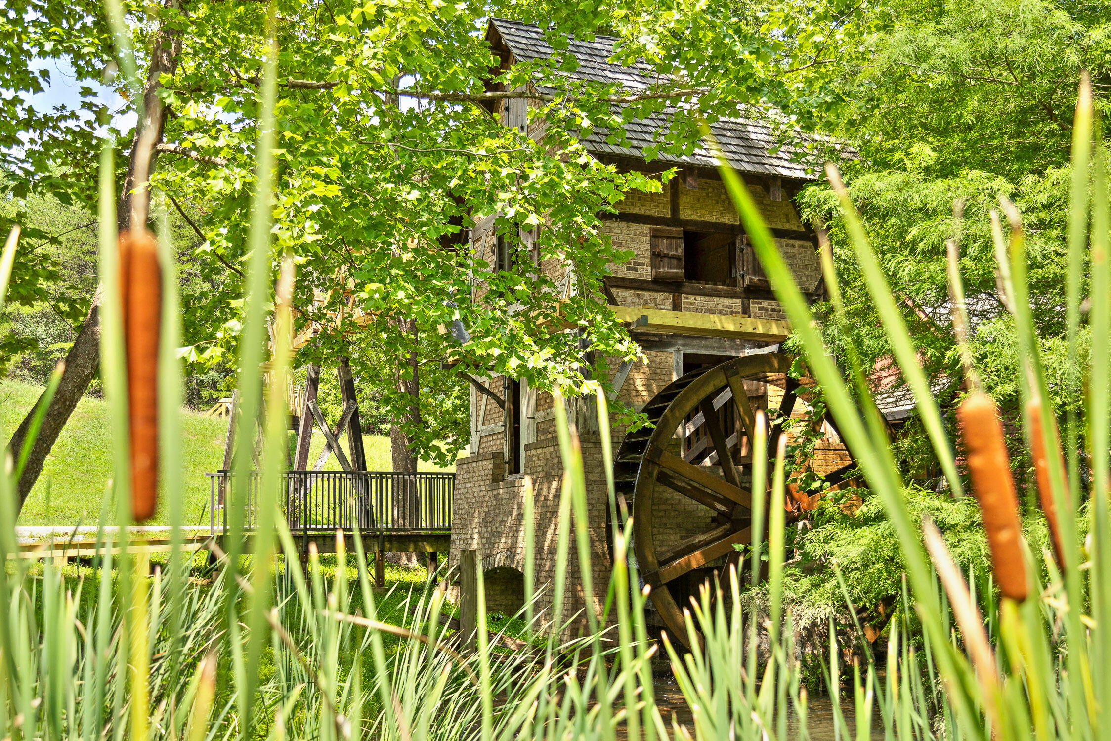 0 Mountain Parkway 101