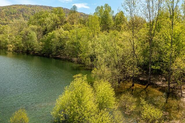 142 Lakeway Drive, Pikeville, Tennessee image 15
