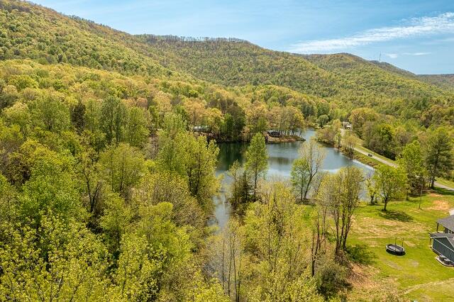 142 Lakeway Drive, Pikeville, Tennessee image 6