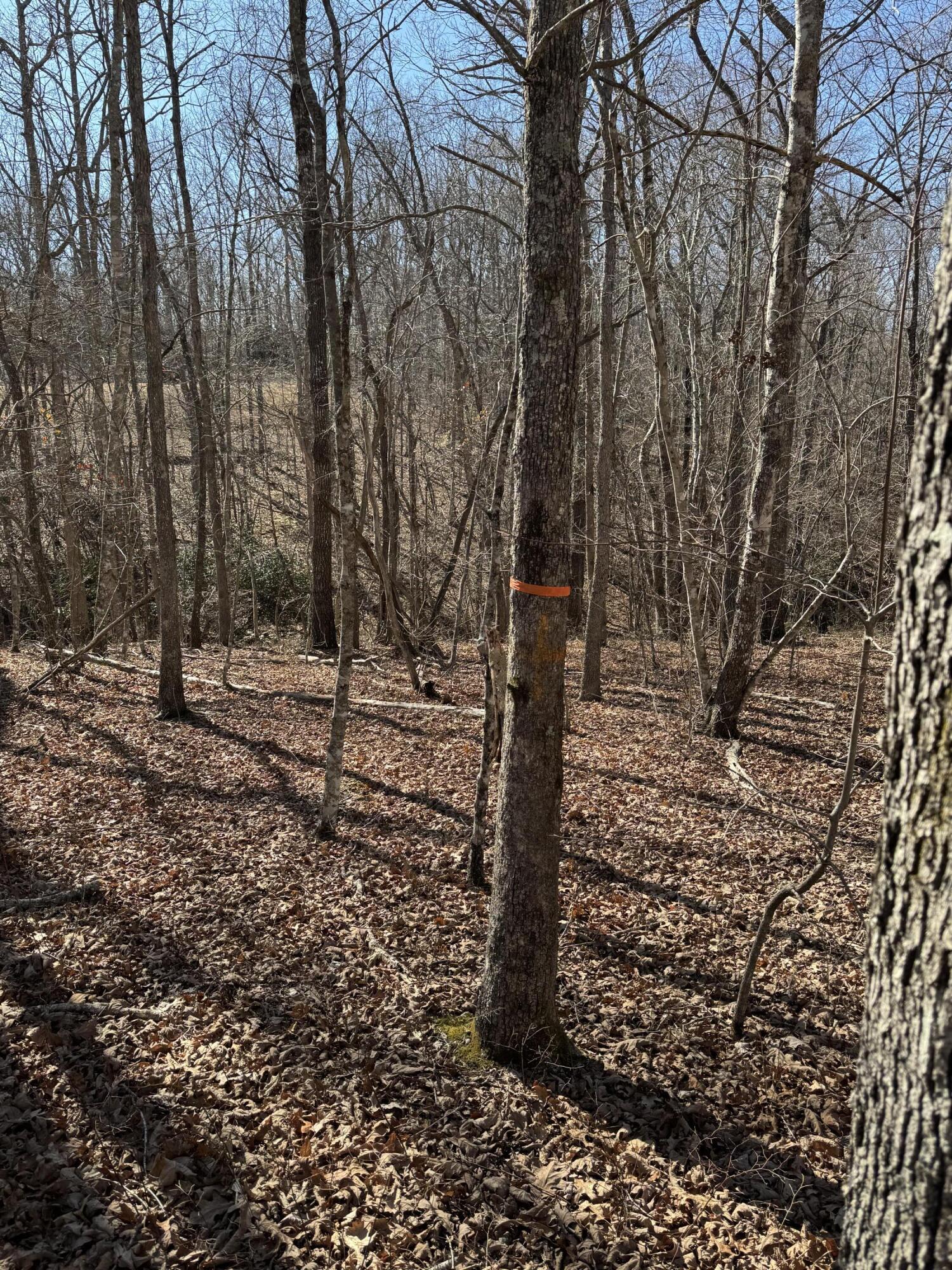 626 Woodland Ridge Road, Dunlap, Tennessee image 4
