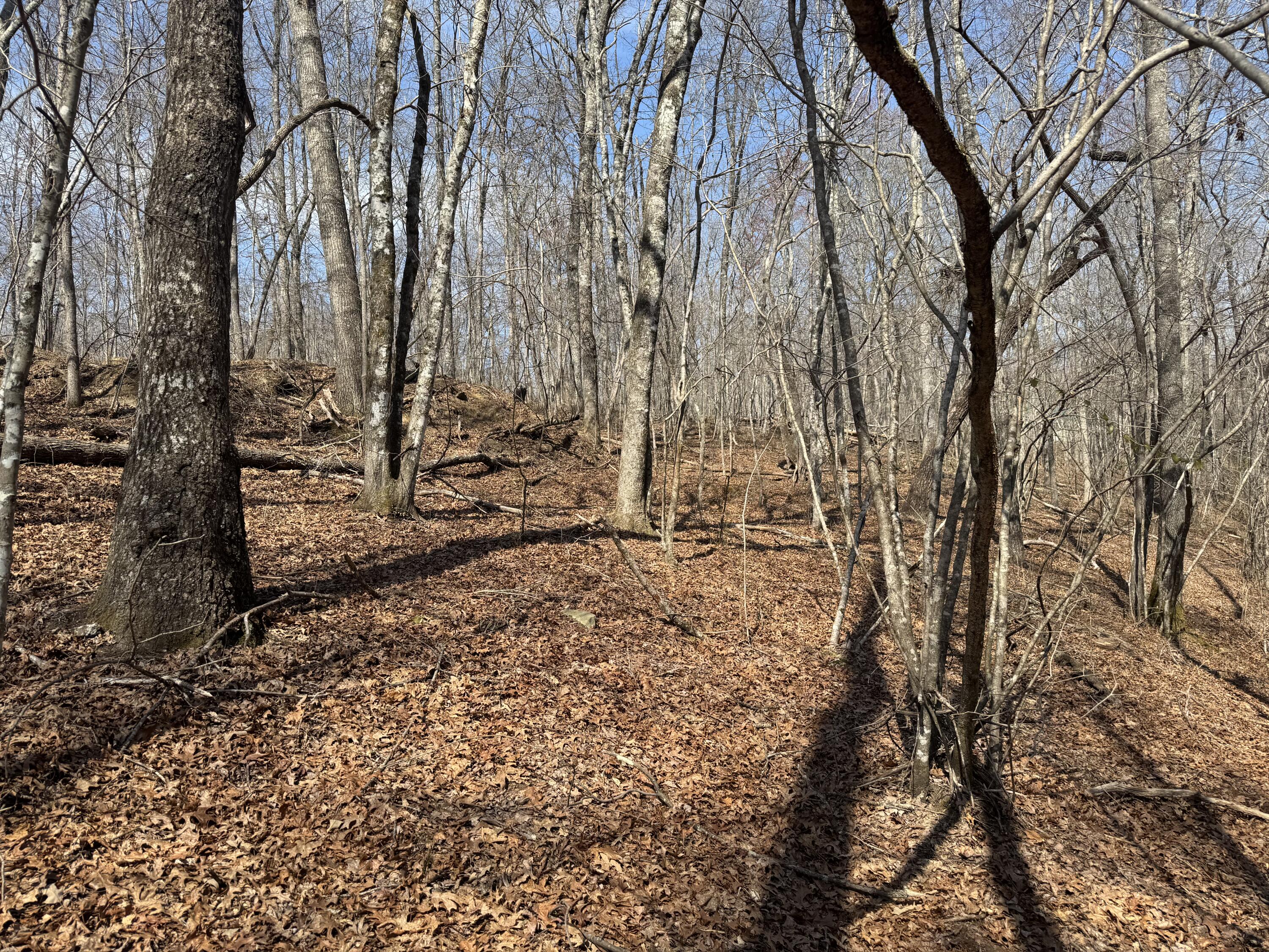 626 Woodland Ridge Road, Dunlap, Tennessee image 12