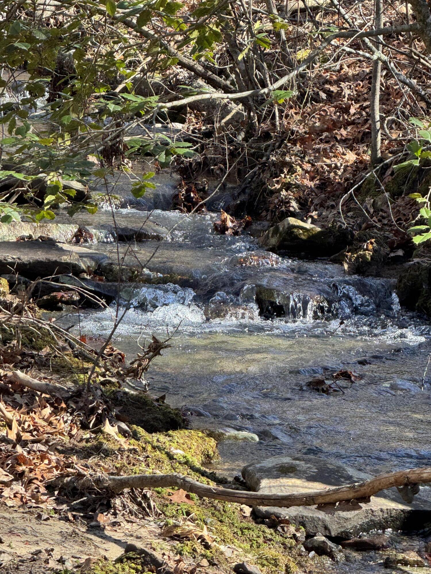 626 Woodland Ridge Road, Dunlap, Tennessee image 1