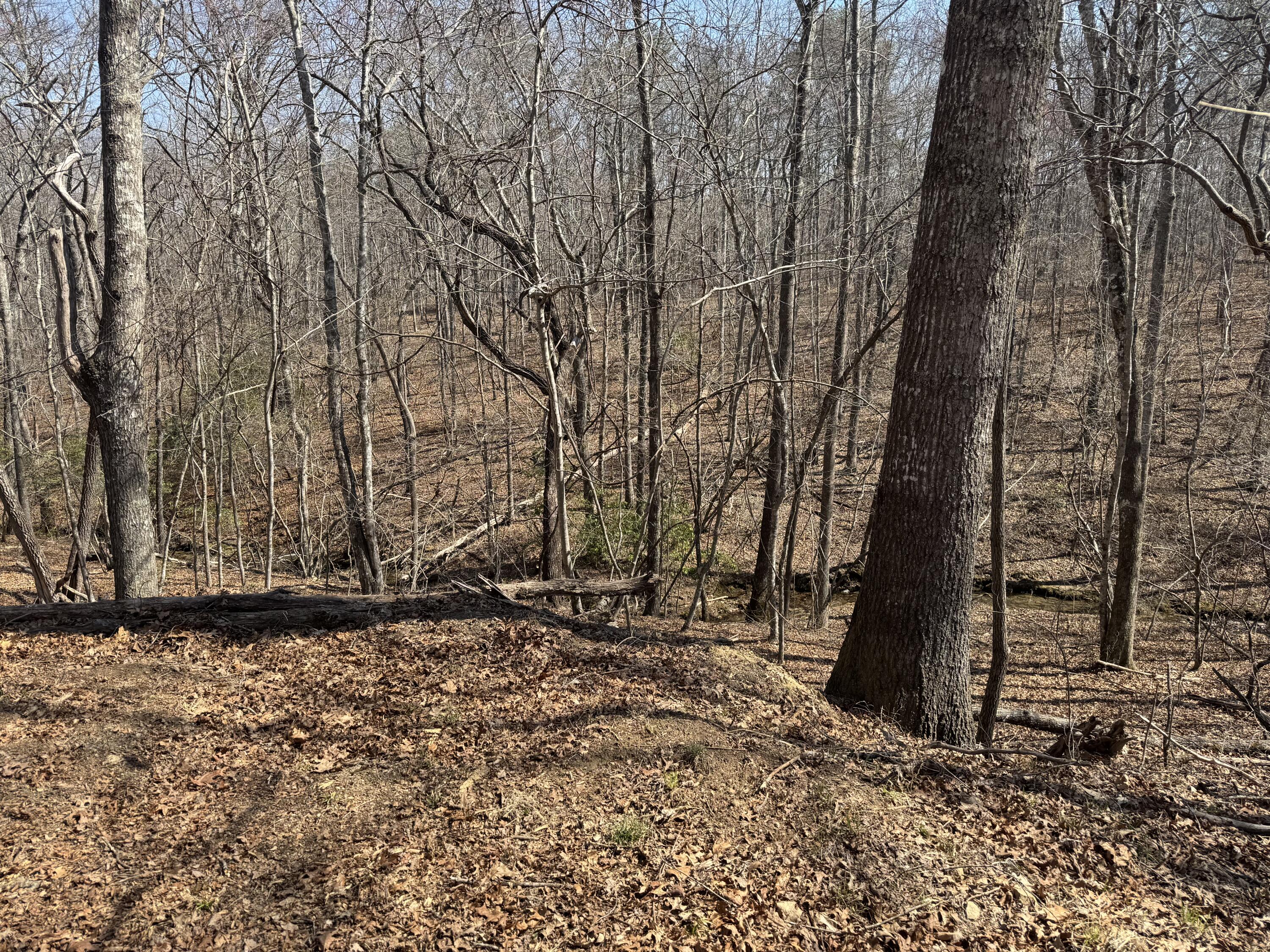 626 Woodland Ridge Road, Dunlap, Tennessee image 8