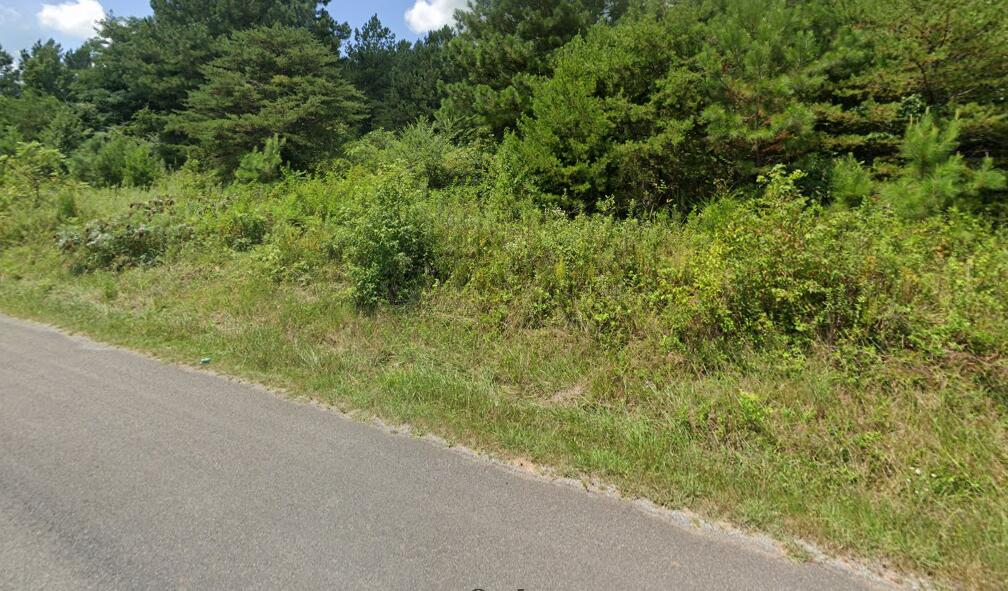 143 Casson Road, Ocoee, Tennessee image 5