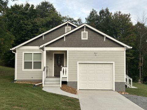 Homes For Sale - 235 Piney Knob Drive<br/> Rhea County, Spring City, TN 37381