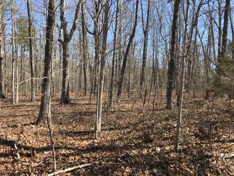 Vacant Land For Sale - 3 Deerhead Road<br/> Sequatchie County, Dunlap, TN 37327