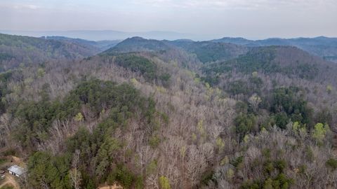 Photo of 00 Castleberry Road, LaFayette, GA 30728 (MLS # 1531944)