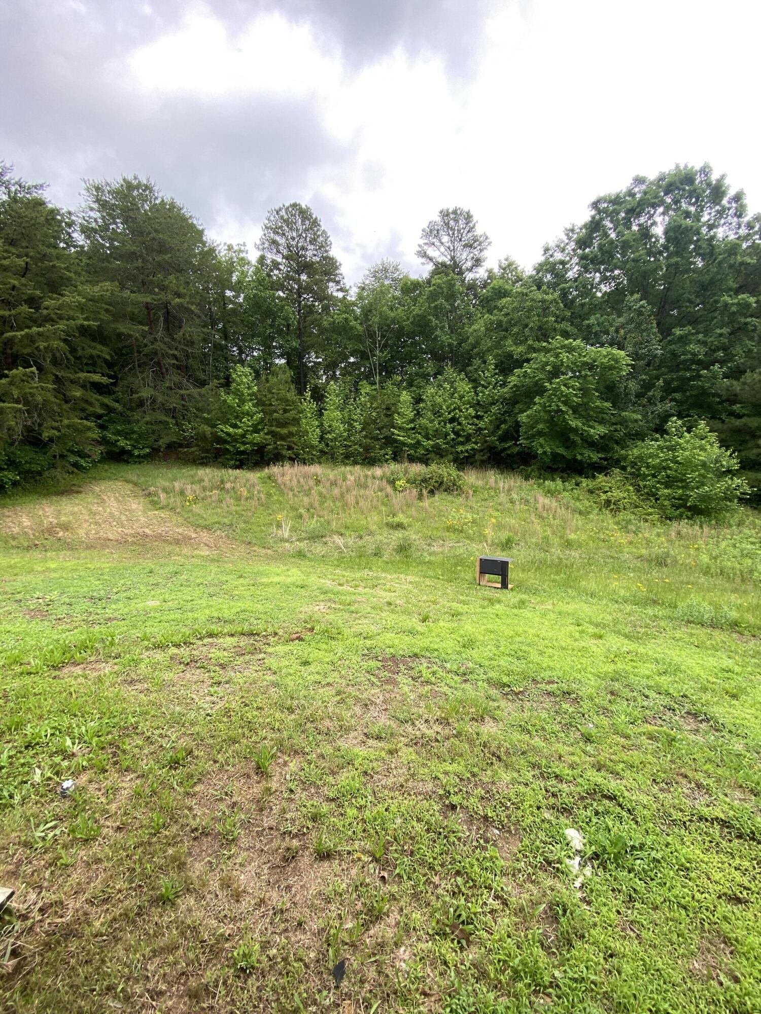 1237 North Pass, Chatsworth, Georgia image 7
