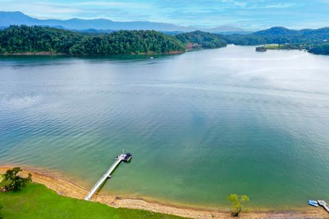 Tiny photo for 1648 Canal Lane, Dandridge, TN 37725 (MLS # 1512959)