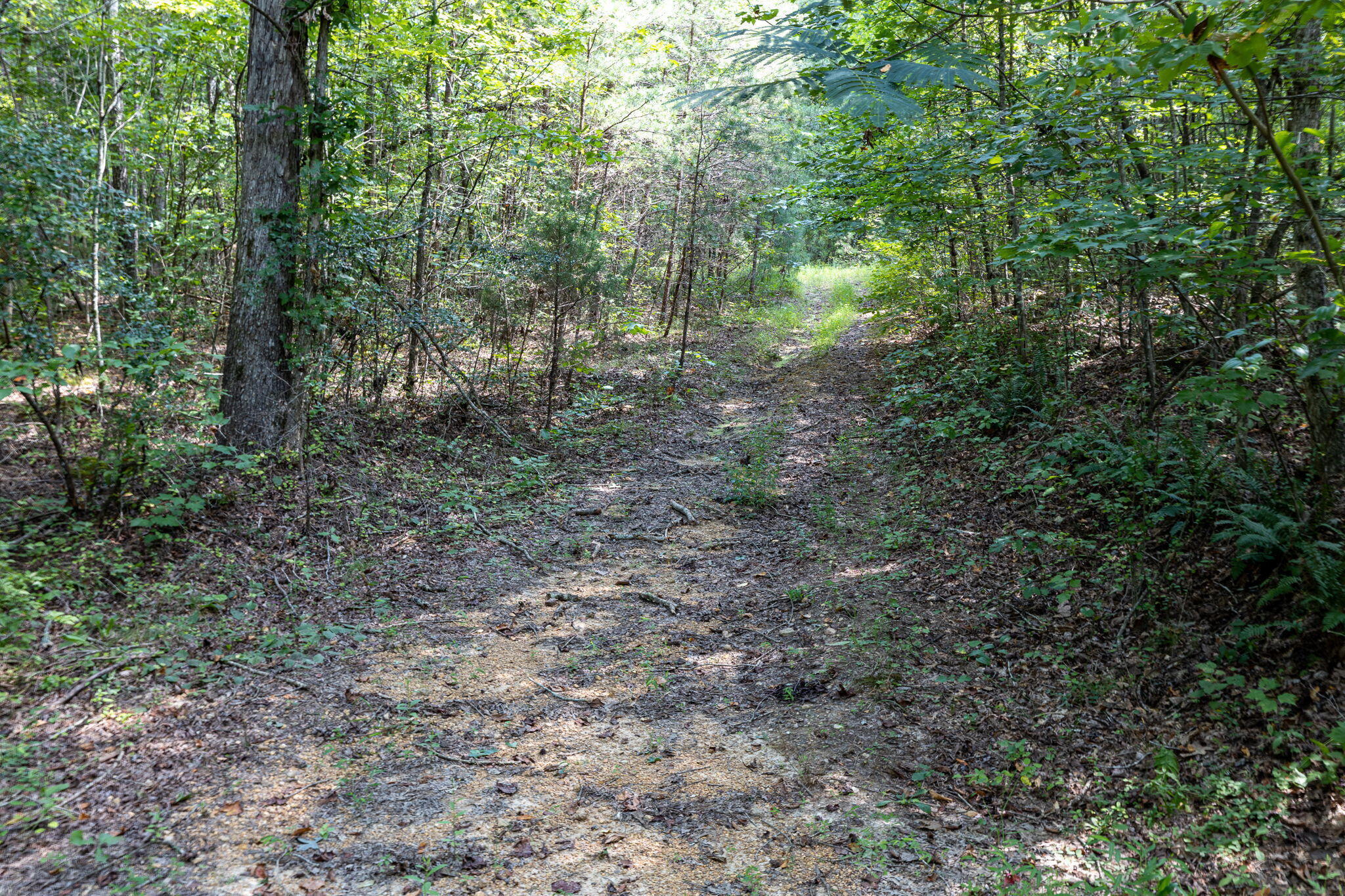 Hudlow Loop Road, Dunlap, Tennessee image 24