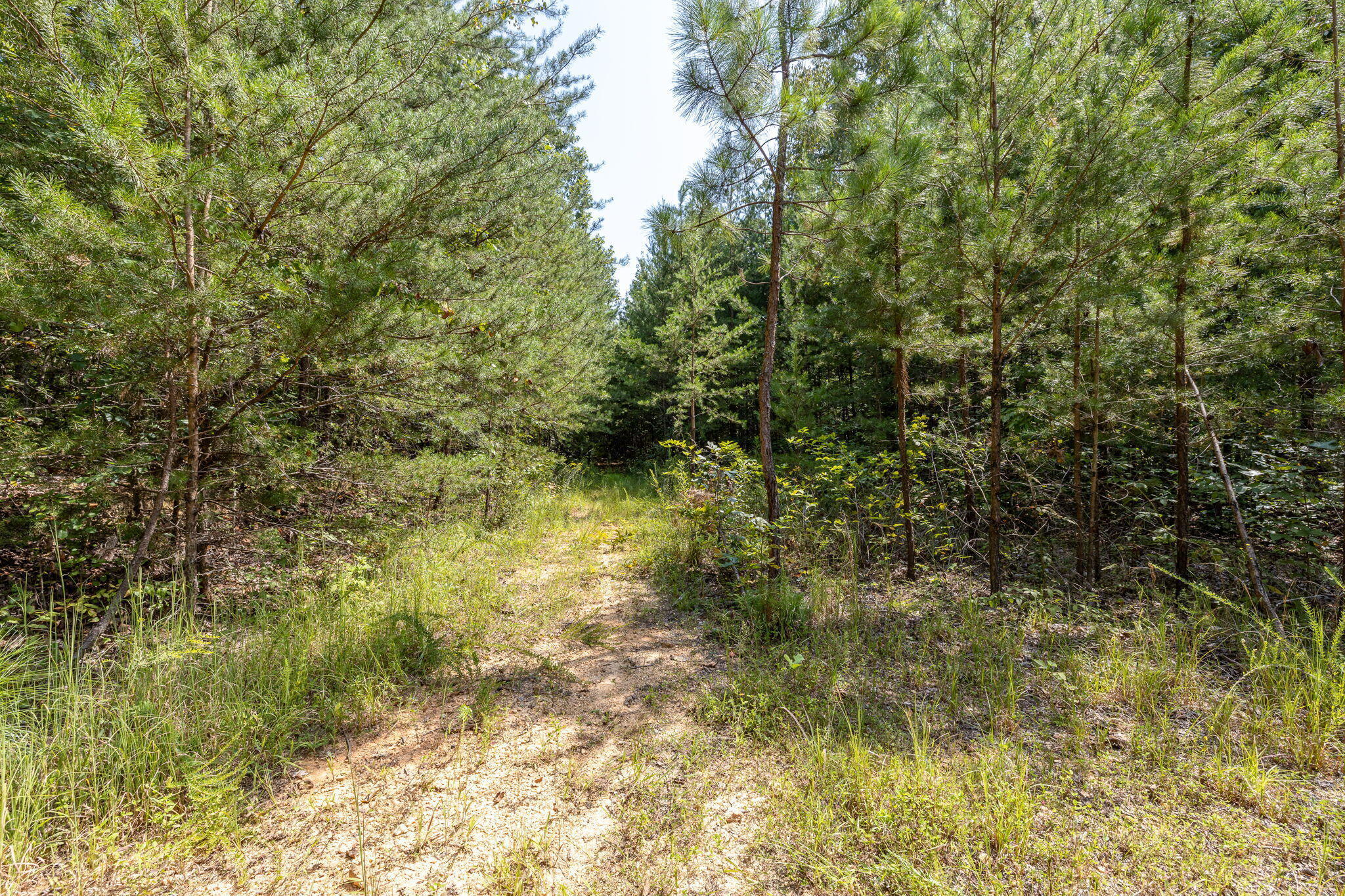 Hudlow Loop Road, Dunlap, Tennessee image 16