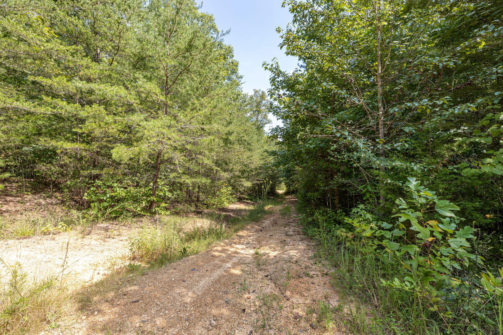 Hudlow Loop Road, Dunlap, Tennessee image 21
